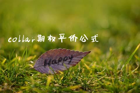 collar期权平价公式_https://wap.jnlaobingbanjia.com_金融理财_第1张