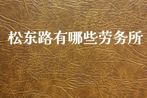 松东路有哪些劳务所_https://wap.jnlaobingbanjia.com_证券公告_第1张