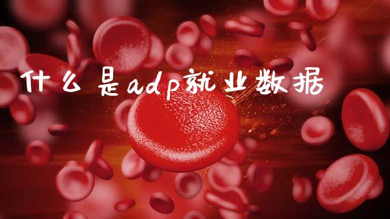 什么是adp就业数据_https://wap.jnlaobingbanjia.com_财经资讯_第1张
