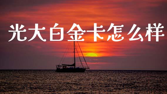 光大白金卡怎么样_https://wap.jnlaobingbanjia.com_财经资讯_第1张