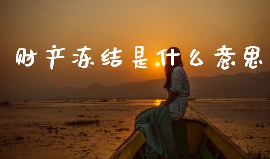 财产冻结是什么意思_https://wap.jnlaobingbanjia.com_金融理财_第1张