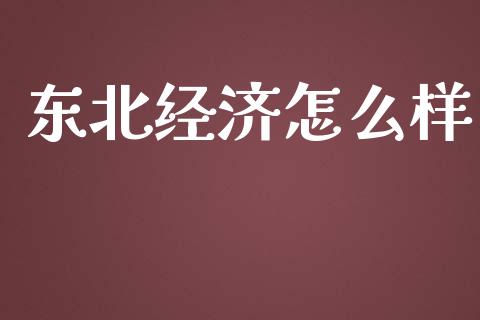 东北经济怎么样_https://wap.jnlaobingbanjia.com_基金分析_第1张