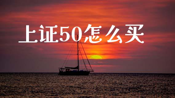 上证50怎么买_https://wap.jnlaobingbanjia.com_金融理财_第1张