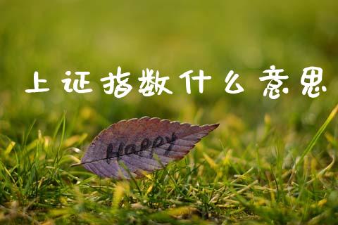 上证指数什么意思_https://wap.jnlaobingbanjia.com_财务管理_第1张