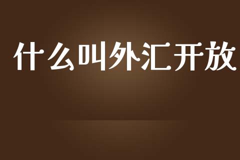 什么叫外汇开放_https://wap.jnlaobingbanjia.com_证券公告_第1张