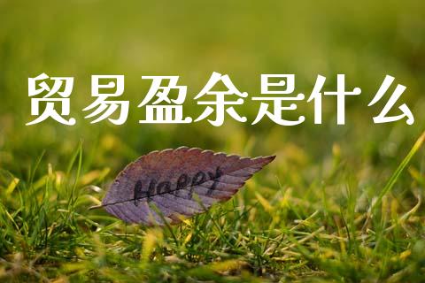 贸易盈余是什么_https://wap.jnlaobingbanjia.com_财务管理_第1张