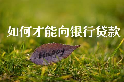如何才能向银行贷款_https://wap.jnlaobingbanjia.com_金融理财_第1张