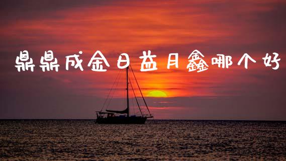 鼎鼎成金日益月鑫哪个好_https://wap.jnlaobingbanjia.com_基金分析_第1张