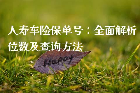 人寿车险保单号：全面解析位数及查询方法_https://wap.jnlaobingbanjia.com_基金分析_第1张