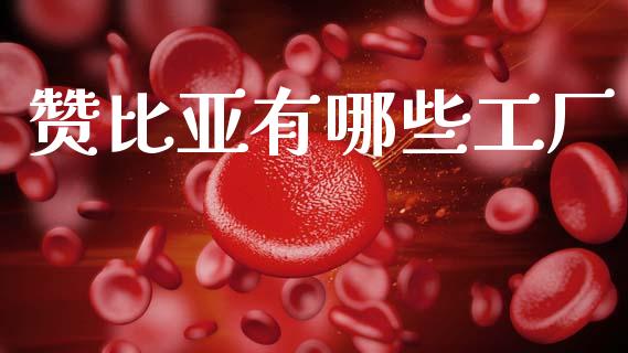 赞比亚有哪些工厂_https://wap.jnlaobingbanjia.com_股市行情_第1张