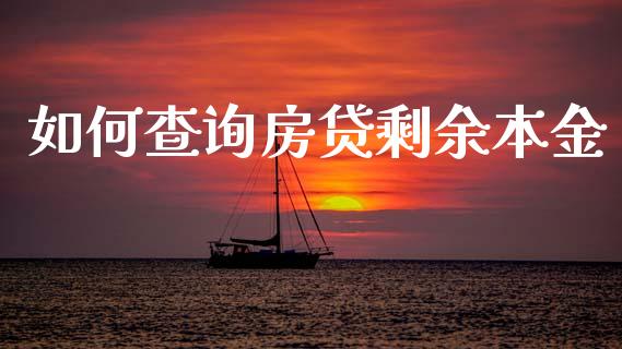 如何查询房贷剩余本金_https://wap.jnlaobingbanjia.com_财经资讯_第1张