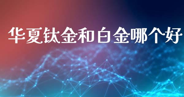 华夏钛金和白金哪个好_https://wap.jnlaobingbanjia.com_财务管理_第1张