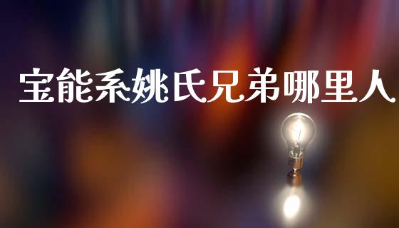 宝能系姚氏兄弟哪里人_https://wap.jnlaobingbanjia.com_基金分析_第1张