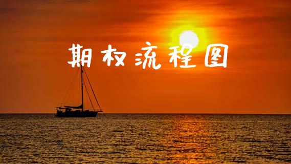 期权流程图_https://wap.jnlaobingbanjia.com_基金分析_第1张