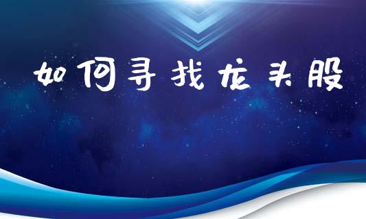 如何寻找龙头股_https://wap.jnlaobingbanjia.com_财务管理_第1张