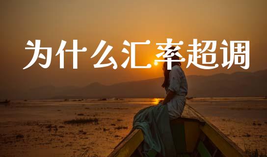 为什么汇率超调_https://wap.jnlaobingbanjia.com_基金分析_第1张