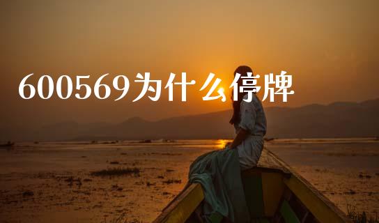 600569为什么停牌_https://wap.jnlaobingbanjia.com_财务管理_第1张