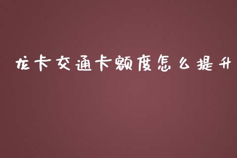 龙卡交通卡额度怎么提升_https://wap.jnlaobingbanjia.com_股市行情_第1张