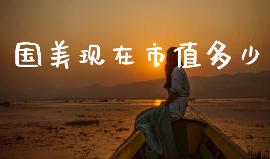 国美现在市值多少_https://wap.jnlaobingbanjia.com_股市行情_第1张