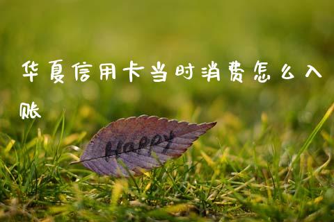 华夏信用卡当时消费怎么入账_https://wap.jnlaobingbanjia.com_基金分析_第1张