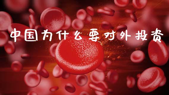 中国为什么要对外投资_https://wap.jnlaobingbanjia.com_财务管理_第1张