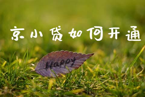 京小贷如何开通_https://wap.jnlaobingbanjia.com_证券公告_第1张