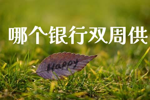 哪个银行双周供_https://wap.jnlaobingbanjia.com_基金分析_第1张