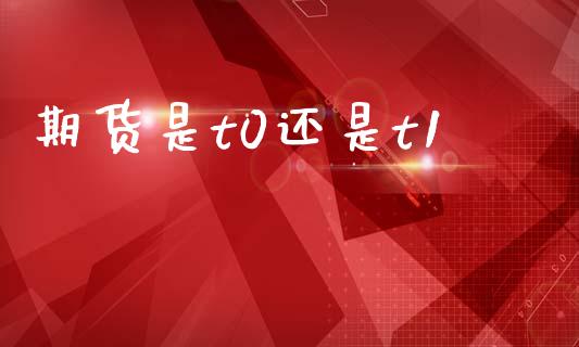 期货是t0还是t1_https://wap.jnlaobingbanjia.com_基金分析_第1张