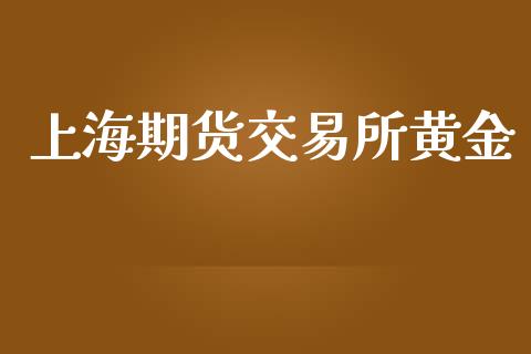 上海期货交易所黄金_https://wap.jnlaobingbanjia.com_金融理财_第1张