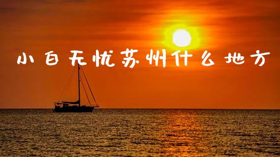 小白无忧苏州什么地方_https://wap.jnlaobingbanjia.com_财务管理_第1张