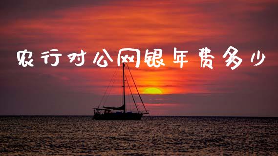 农行对公网银年费多少_https://wap.jnlaobingbanjia.com_证券公告_第1张