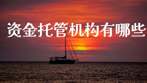 资金托管机构有哪些_https://wap.jnlaobingbanjia.com_财经资讯_第1张