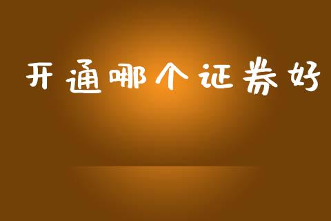 开通哪个证券好_https://wap.jnlaobingbanjia.com_财经资讯_第1张
