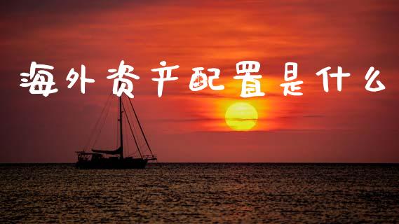海外资产配置是什么_https://wap.jnlaobingbanjia.com_证券公告_第1张