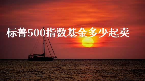 标普500指数基金多少起卖_https://wap.jnlaobingbanjia.com_基金分析_第1张