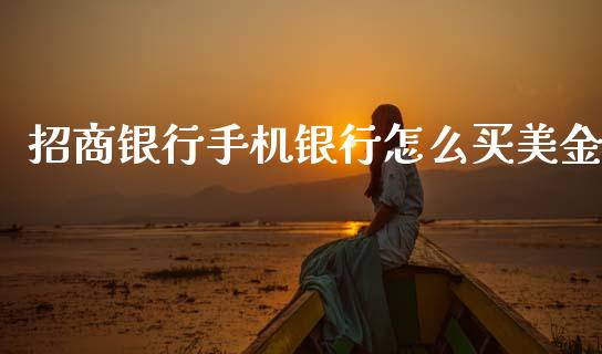 招商银行手机银行怎么买美金_https://wap.jnlaobingbanjia.com_财务管理_第1张