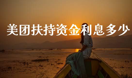 美团扶持资金利息多少_https://wap.jnlaobingbanjia.com_证券公告_第1张