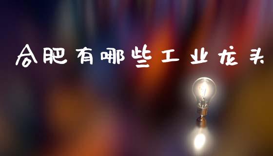 合肥有哪些工业龙头_https://wap.jnlaobingbanjia.com_金融理财_第1张