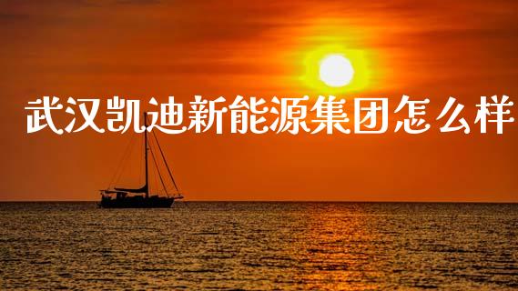武汉凯迪新能源集团怎么样_https://wap.jnlaobingbanjia.com_股市行情_第1张