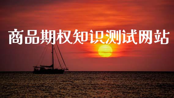 商品期权知识测试网站_https://wap.jnlaobingbanjia.com_财务管理_第1张