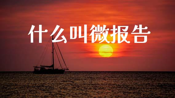什么叫微报告_https://wap.jnlaobingbanjia.com_财经资讯_第1张