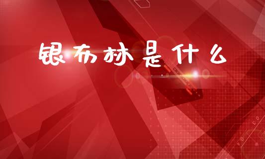 银布林是什么_https://wap.jnlaobingbanjia.com_财经资讯_第1张