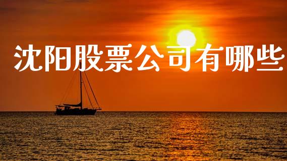 沈阳股票公司有哪些_https://wap.jnlaobingbanjia.com_证券公告_第1张