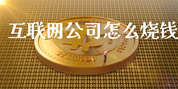 互联网公司怎么烧钱_https://wap.jnlaobingbanjia.com_财务管理_第1张