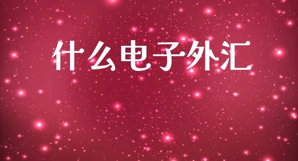 什么电子外汇_https://wap.jnlaobingbanjia.com_金融理财_第1张