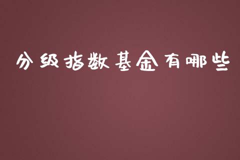 分级指数基金有哪些_https://wap.jnlaobingbanjia.com_金融理财_第1张