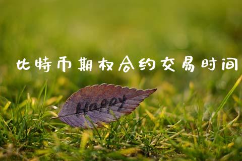 比特币期权合约交易时间_https://wap.jnlaobingbanjia.com_财务管理_第1张