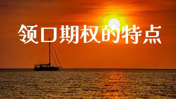 领口期权的特点_https://wap.jnlaobingbanjia.com_金融理财_第1张