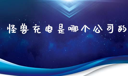 怪兽充电是哪个公司的_https://wap.jnlaobingbanjia.com_财经资讯_第1张