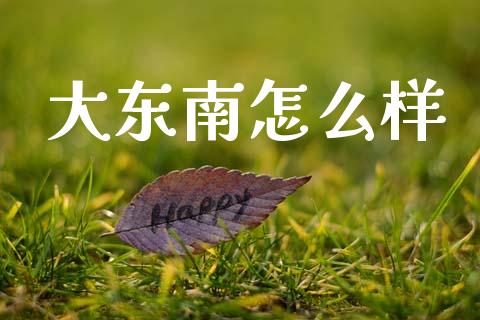 大东南怎么样_https://wap.jnlaobingbanjia.com_股市行情_第1张